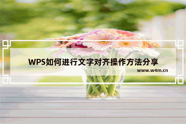 WPS如何进行文字对齐操作方法分享