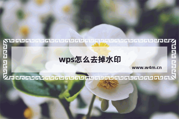 wps怎么去掉水印