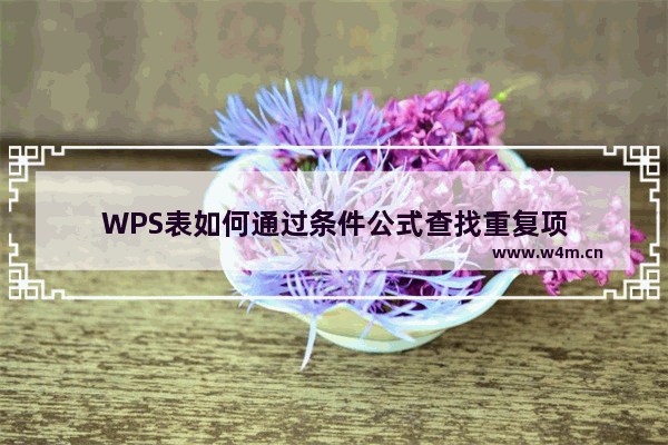 WPS表如何通过条件公式查找重复项