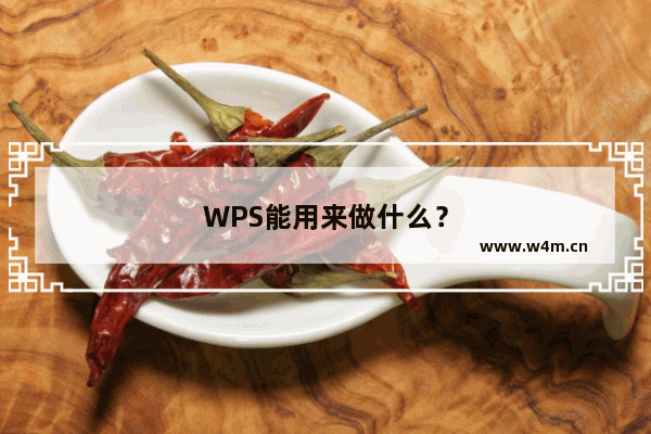 WPS能用来做什么？