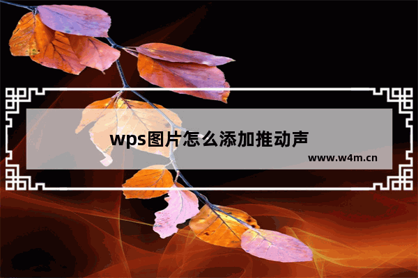 wps图片怎么添加推动声