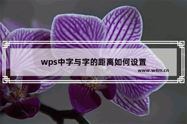 wps中字与字的距离如何设置