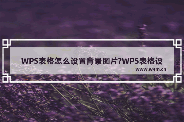 WPS表格怎么设置背景图片?WPS表格设置背景图片教程