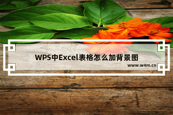 WPS中Excel表格怎么加背景图