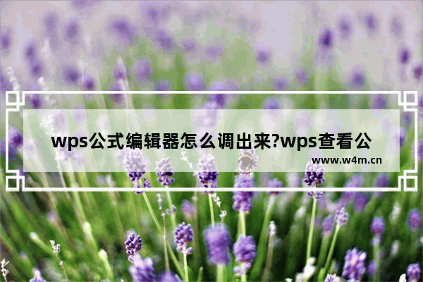 wps公式编辑器怎么调出来?wps查看公式编辑器方法介绍