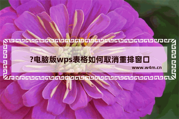 ?电脑版wps表格如何取消重排窗口