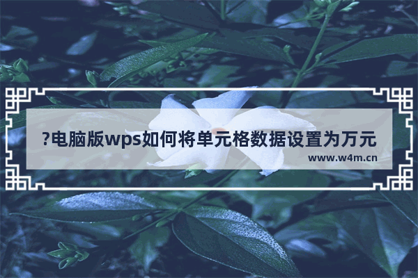 ?电脑版wps如何将单元格数据设置为万元单位