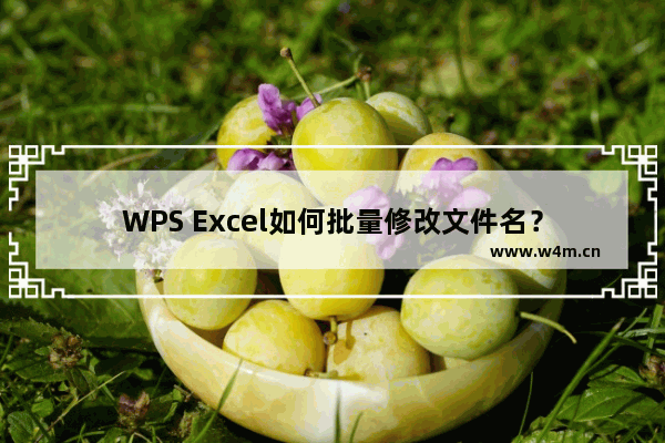 WPS Excel如何批量修改文件名？