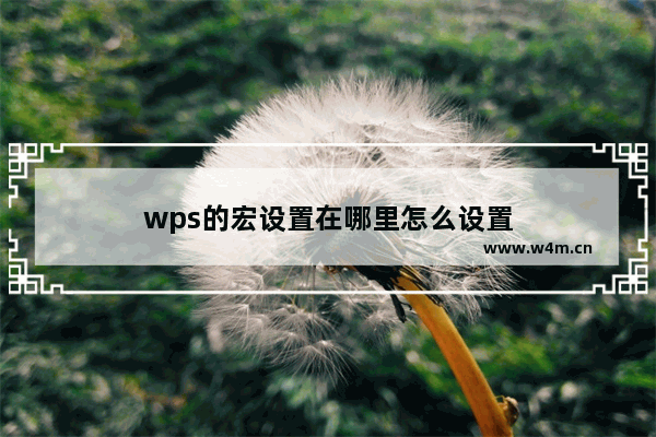 wps的宏设置在哪里怎么设置