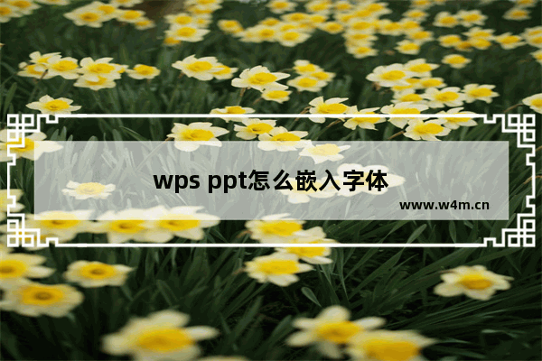 wps ppt怎么嵌入字体