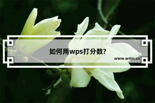 如何用wps打分数?