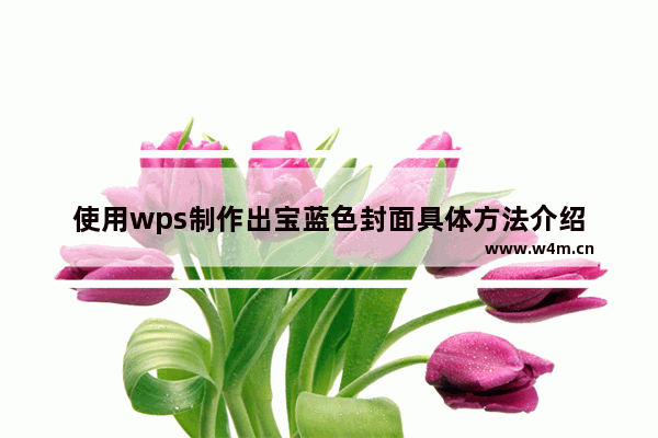 使用wps制作出宝蓝色封面具体方法介绍