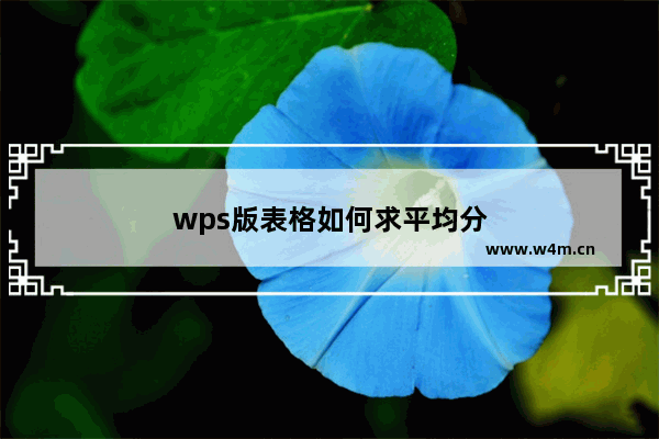 wps版表格如何求平均分