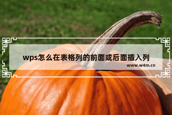 wps怎么在表格列的前面或后面插入列