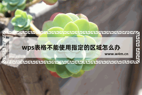 wps表格不能使用指定的区域怎么办