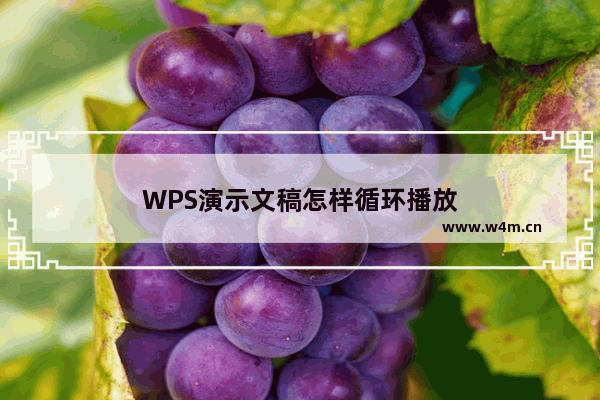 WPS演示文稿怎样循环播放