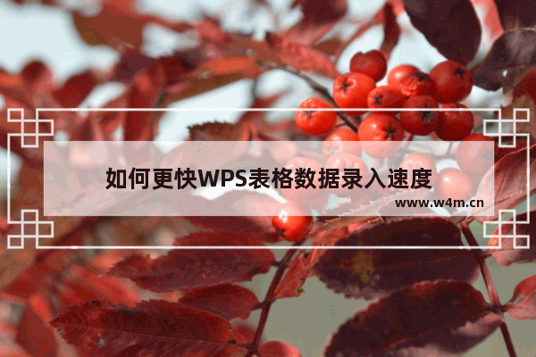 如何更快WPS表格数据录入速度