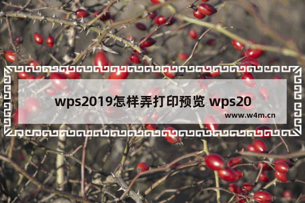 wps2019怎样弄打印预览 wps2019进行打印预览的方法教程