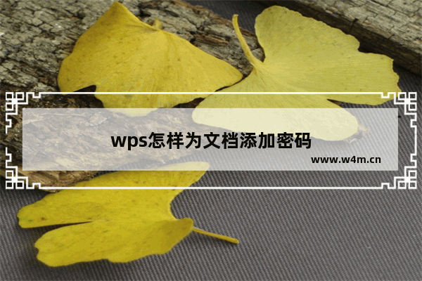 wps怎样为文档添加密码