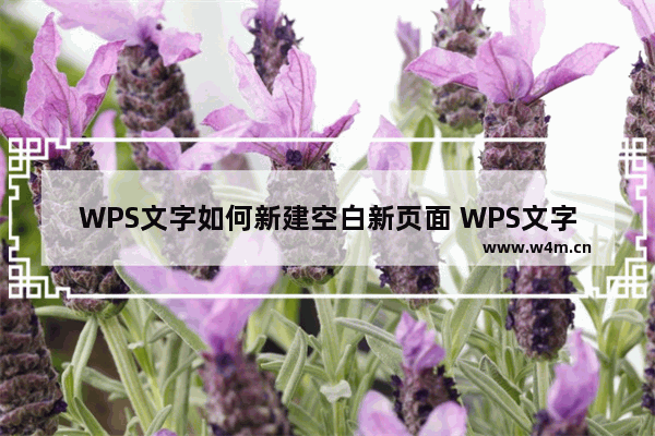 WPS文字如何新建空白新页面 WPS文字新建空白新页面的方法教程分享