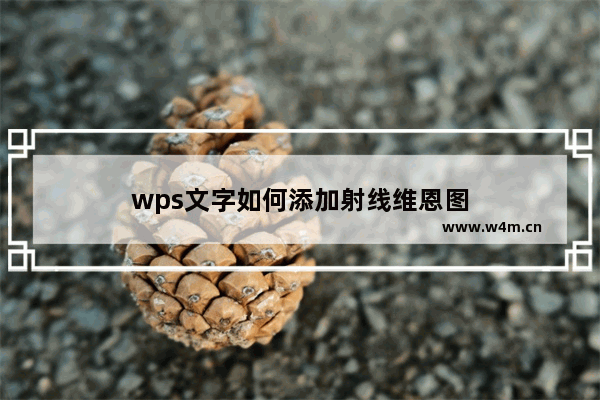 wps文字如何添加射线维恩图