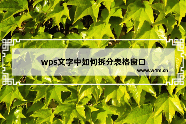 wps文字中如何拆分表格窗口