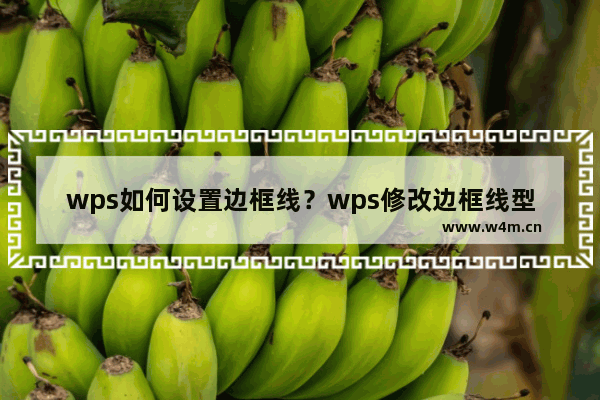 wps如何设置边框线？wps修改边框线型教程