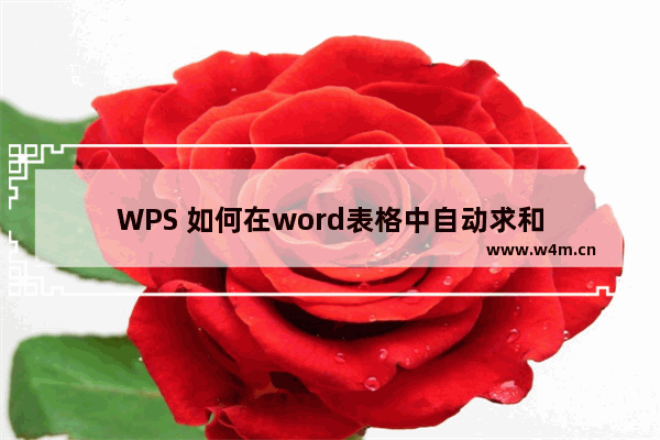 WPS 如何在word表格中自动求和