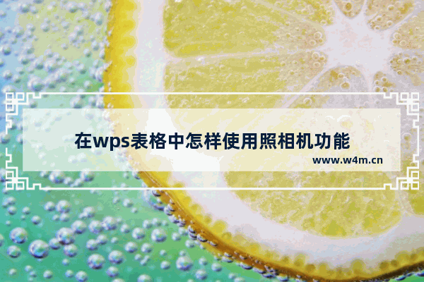 在wps表格中怎样使用照相机功能