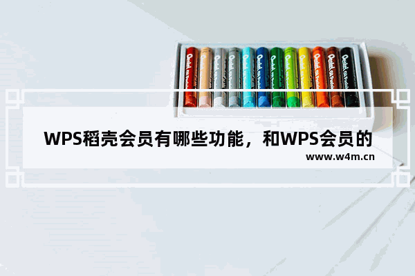 WPS稻壳会员有哪些功能，和WPS会员的区别是什么