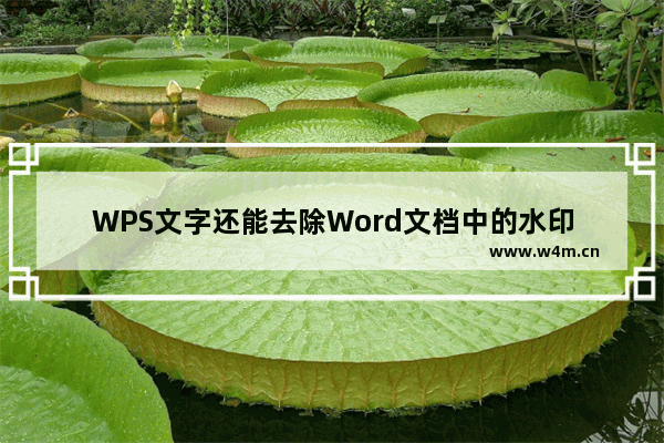 WPS文字还能去除Word文档中的水印