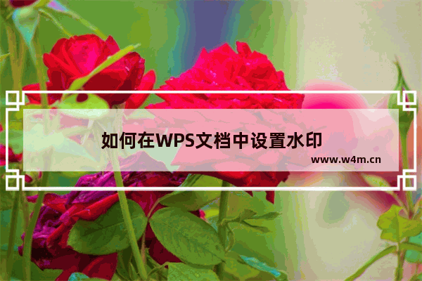 如何在WPS文档中设置水印