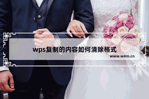 wps复制的内容如何清除格式