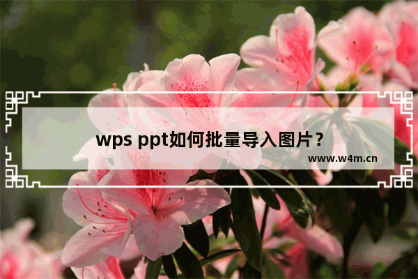 wps ppt如何批量导入图片？