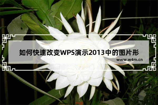 如何快速改变WPS演示2013中的图片形状