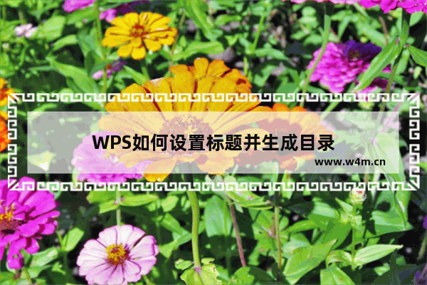 WPS如何设置标题并生成目录