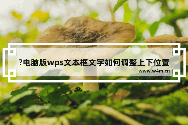 ?电脑版wps文本框文字如何调整上下位置