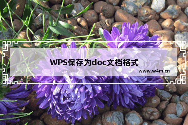 WPS保存为doc文档格式