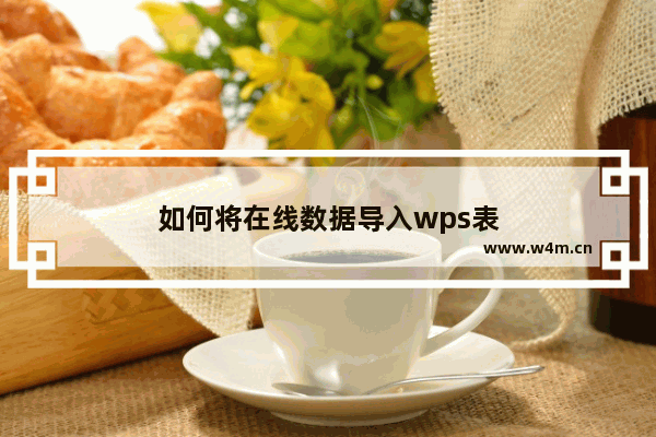 如何将在线数据导入wps表