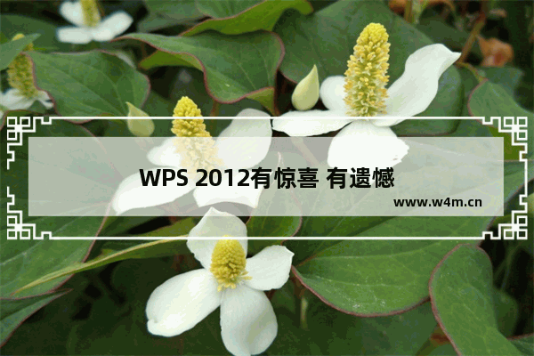 WPS 2012有惊喜 有遗憾