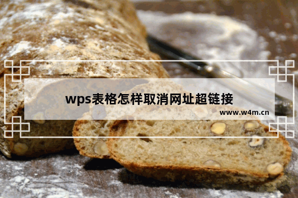 wps表格怎样取消网址超链接