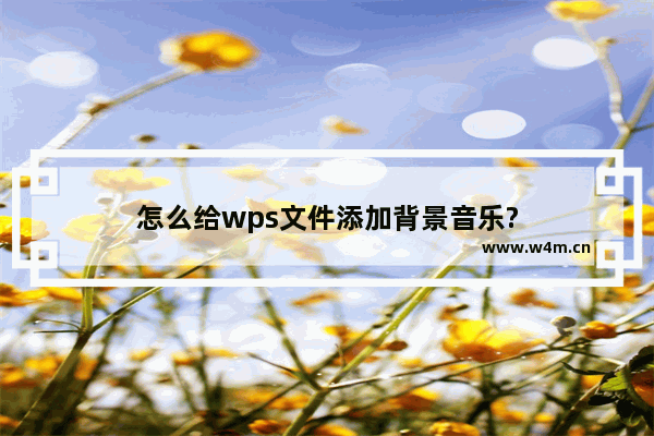 怎么给wps文件添加背景音乐?