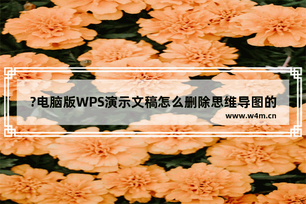 ?电脑版WPS演示文稿怎么删除思维导图的外框