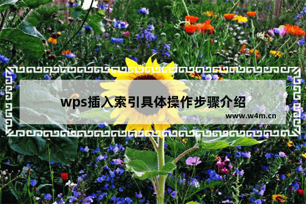 wps插入索引具体操作步骤介绍