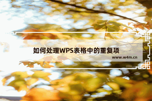 如何处理WPS表格中的重复项