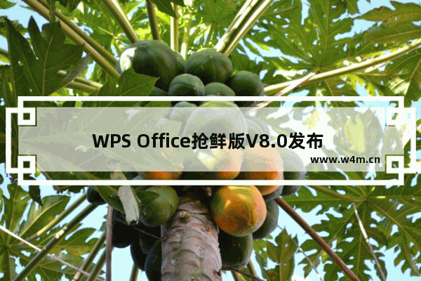 WPS Office抢鲜版V8.0发布 素材库速度提升5倍