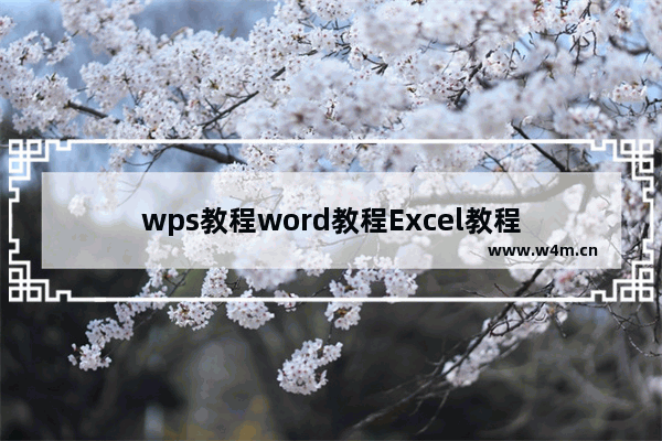 wps教程word教程Excel教程