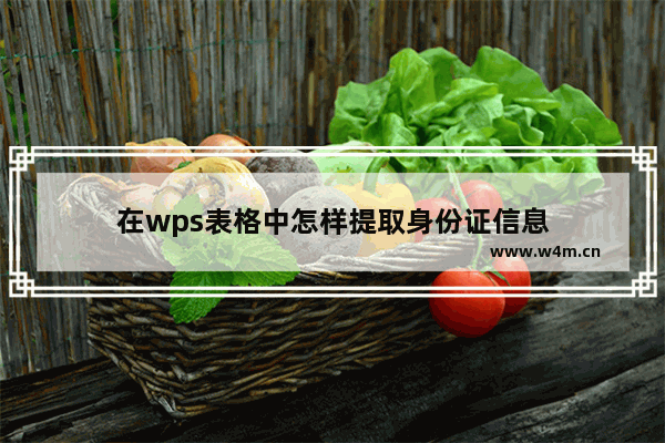 在wps表格中怎样提取身份证信息