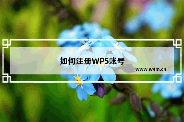 如何注册WPS账号