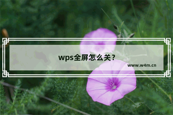 wps全屏怎么关？